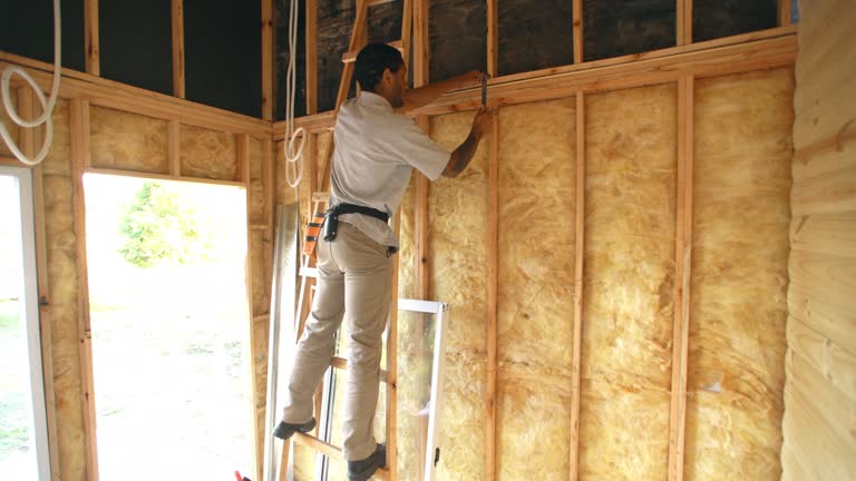 Best Commercial Insulation Services  in Fosston, MN